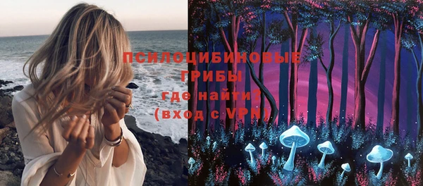 ГАЛЛЮЦИНОГЕННЫЕ ГРИБЫ Валуйки