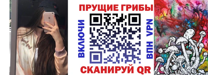 Псилоцибиновые грибы Cubensis  blacksprut tor  Мичуринск  купить наркотик 